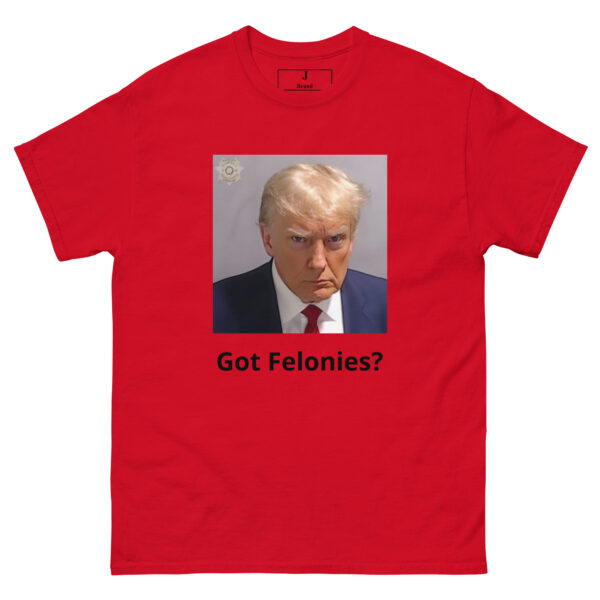 Got Felonies - Image 2